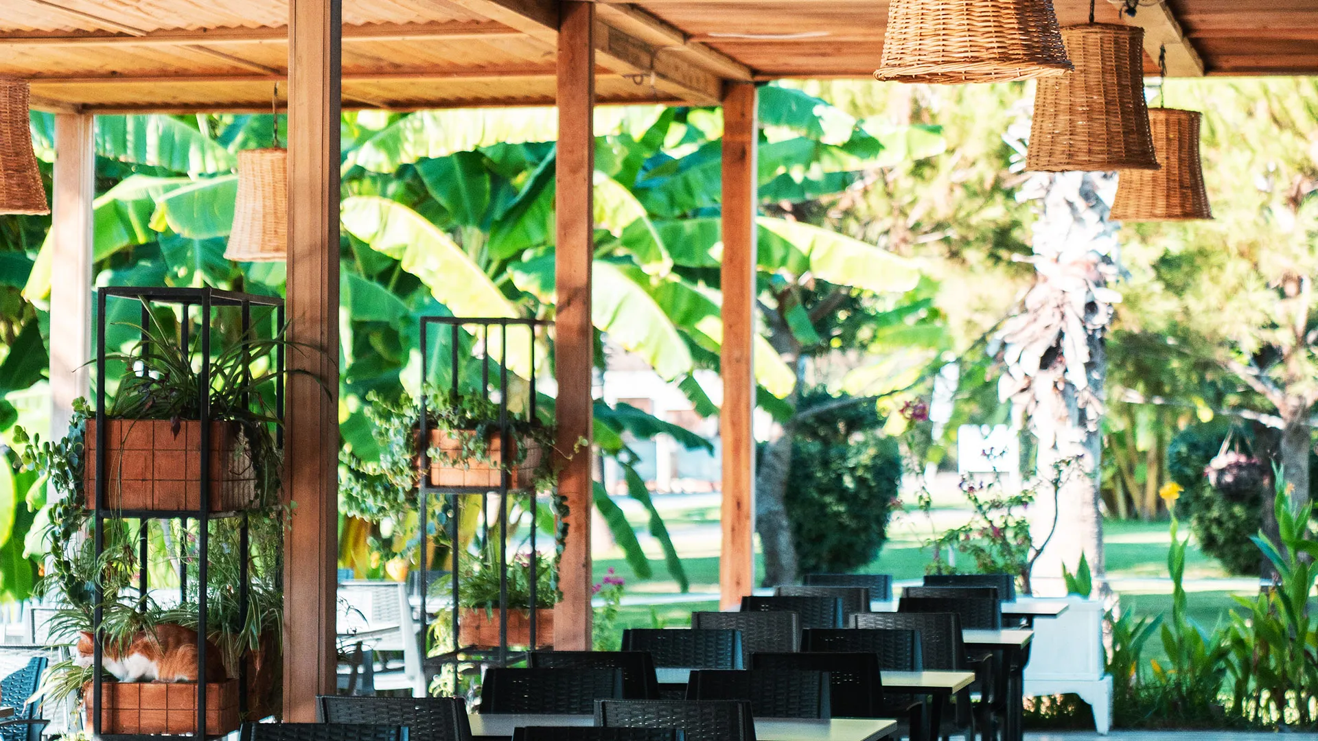 Sural Resort Hotel – снимка 13