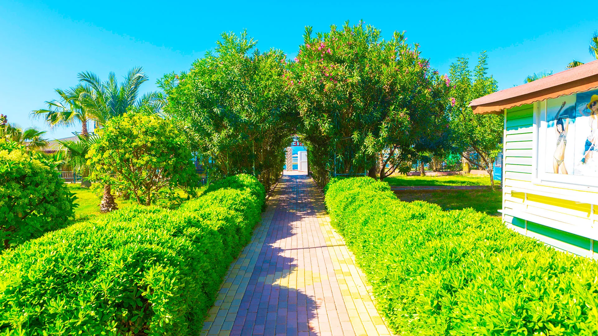 Caretta Beach Hotel – снимка 8